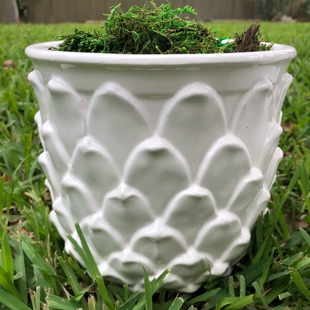 Artichoke planter